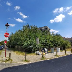 Copie de IMG_20250818_142637