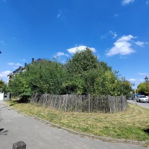 Copie de IMG_20250818_142755