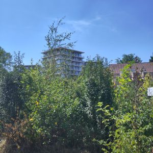 Her'Land Evolution 2025