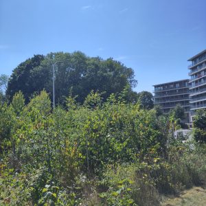 Her'Land Evolution 2025