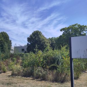 evolution micro-forest Nectar 2025 - 3