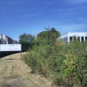 evolution micro-forest Nectar 2025 - 5