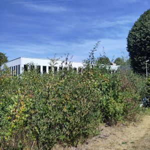 Her'Land Evolution 2025