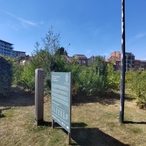 Her'Land Evolution 2025