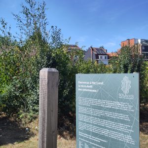 Her'Land Evolution 2025