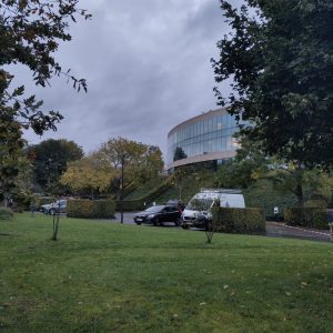 IMG_20241017_081151