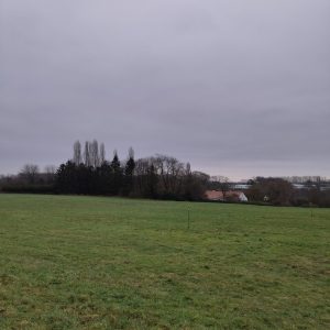 RTBF-Avant-1