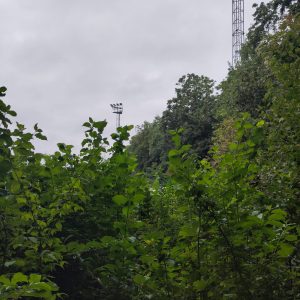 léo - 2025-5