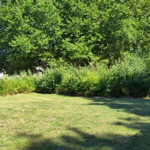 Roi Baudouin 2025 - 1