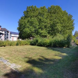 Roi Baudouin 2025 - 2