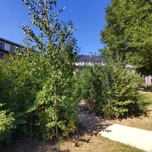 Roi Baudouin 2025 - 4