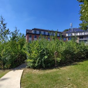 Roi Baudouin 2025 - 6