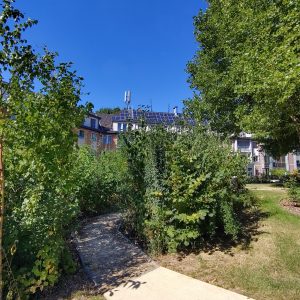 Roi Baudouin 2025 - 7