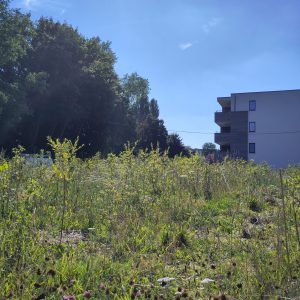 Parc des Saules -2025-4