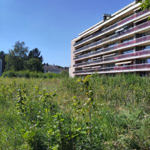 Parc des Saules -2025-6