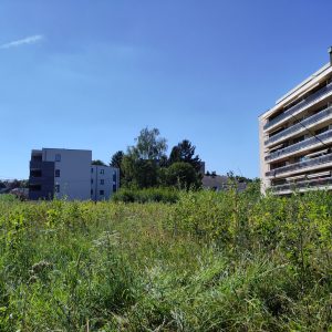 Parc des Saules -2025-7