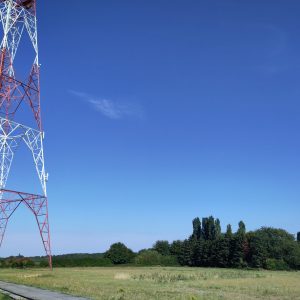 RTBF-2025-1