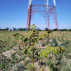 RTBF-2025-4