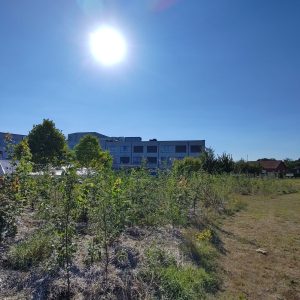 Justus Lupsius-2025-3