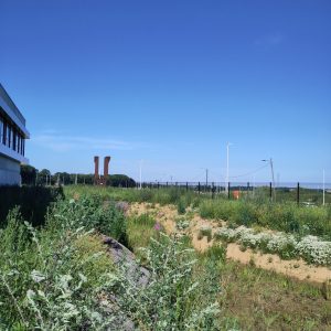 P42-juin26-15
