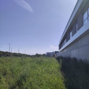 P42-juin26-7