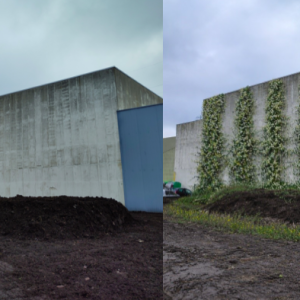 Wall2-before_after